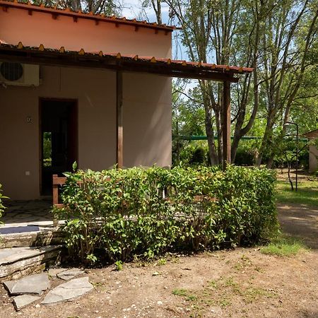 Camping Pefki Hotel Eksteriør billede